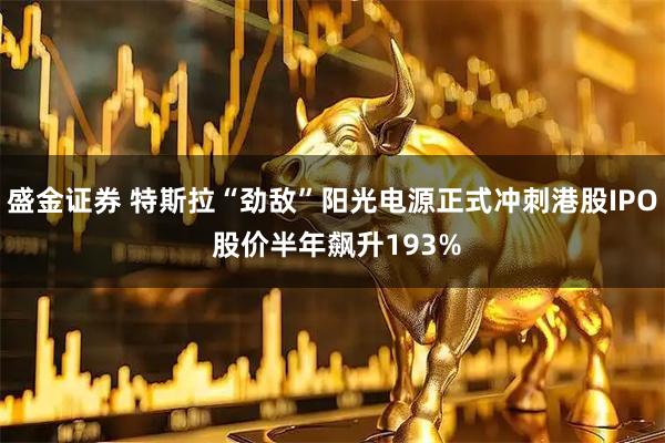 盛金证券 特斯拉“劲敌”阳光电源正式冲刺港股IPO 股价半年飙升193%
