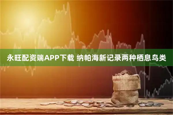 永旺配资端APP下载 纳帕海新记录两种栖息鸟类