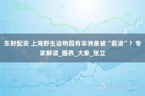 东财配资 上海野生动物园有非洲象被“霸凌”？专家解读_圈养_大象_张立