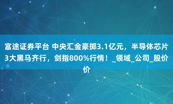 富途证券平台 中央汇金豪掷3.1亿元，半导体芯片3大黑马齐行，剑指800%行情！_领域_公司_股价